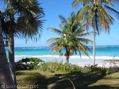 Eleuthera Beachfront