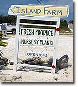 Island Farm Eleuthera