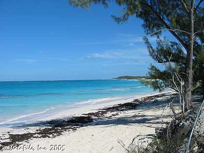 Palmetto Point Beaches