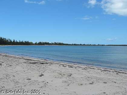 Winding Bay Beach