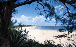Beachside at the French Leave Resort Eleuthera