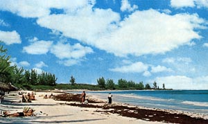 French Leave Resort Pink Beach