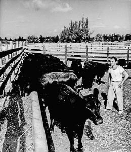Fred Maura Photo Eleuthera Livestock