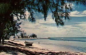 Swimming in Tarpum Bay