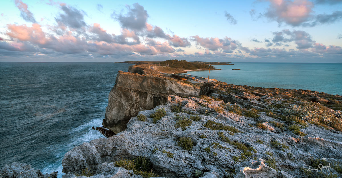 Review of Eleuthera by Tom Uhlenbrock