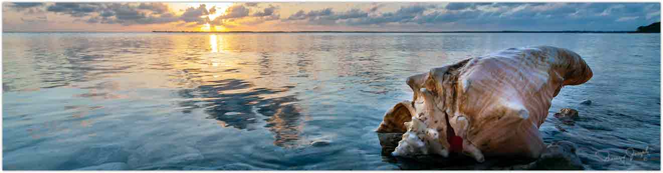 Conch Salad Recipe - Eleuthera Bahamas
